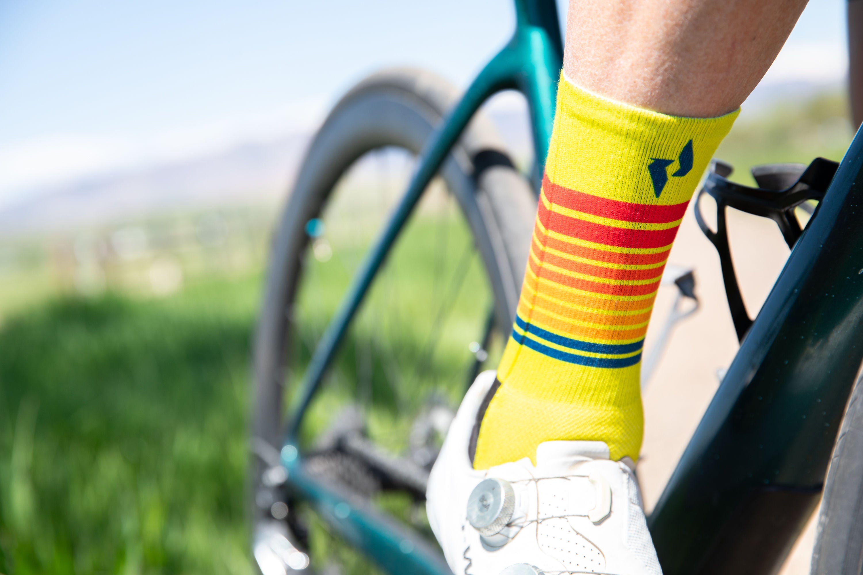 socks cycling - panache
